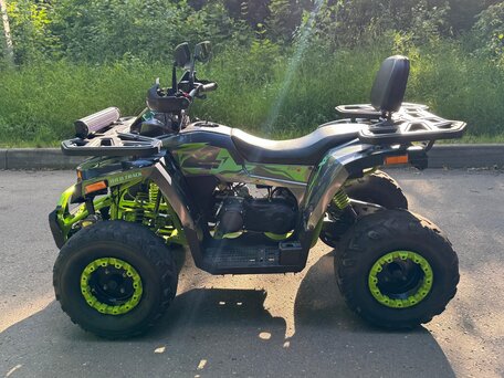 2023 Motoland Wild Track 200 X Pro, зелёный, 165000 рублей, вид 2