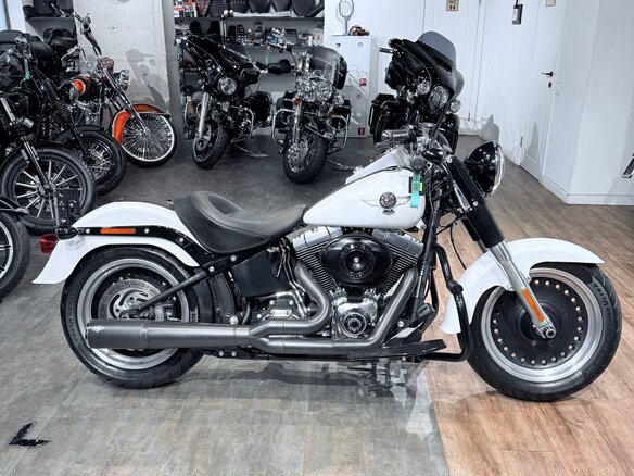 2011 Harley-Davidson Fat Boy, белый, 1399000 рублей - вид 2