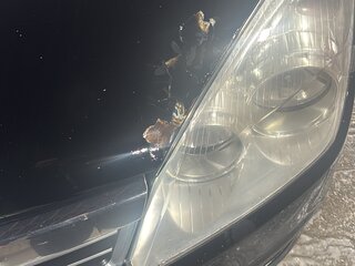 2010 Opel Astra H Рестайлинг, чёрный, 350000 рублей, вид 5