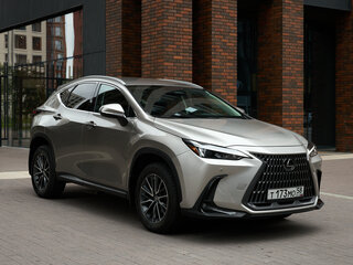 2022 Lexus NX 250 II, серый, 4800000 рублей, вид 1