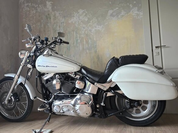 2004 Harley-Davidson Softail Deuce, белый, 990000 рублей - вид 8