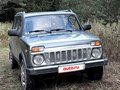 2013 Lada (ВАЗ) 2131 (4x4) 213105 I, серый - вид 2