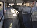 2015 Mercedes-Benz Sprinter Classic, белый, 800000 рублей - вид 5