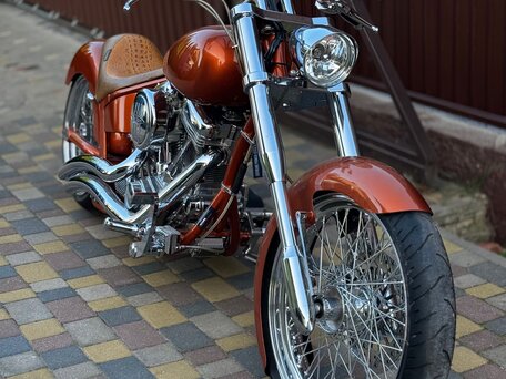 2009 Harley-Davidson Softail Custom, оранжевый, 1150000 рублей, вид 2