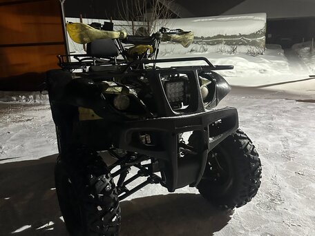 2021 Motoland ATV 250 Adventure, зелёный, 95000 рублей, вид 4