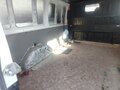 2008 Ford Transit, белый, 850000 рублей - вид 1