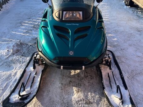 1998 Ski-Doo Grand Touring Limited, зелёный, 410000 рублей, вид 5