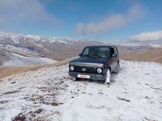 2017 Lada (ВАЗ) 2121 (4x4) Urban I Рестайлинг, серый, 550000 рублей, вид 1