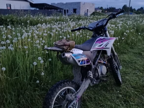 2021 Wels RT 140, фиолетовый, 83000 рублей - вид 1