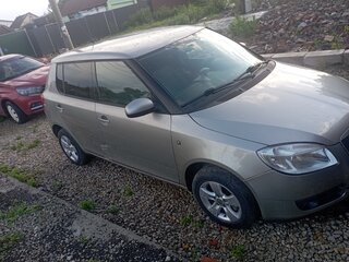2009 Skoda Fabia II, серый, 345000 рублей, вид 5