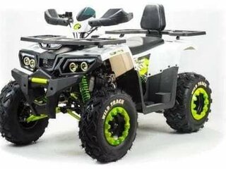 2026 Motoland Wild Track 200, чёрный, 174100 рублей, вид 1
