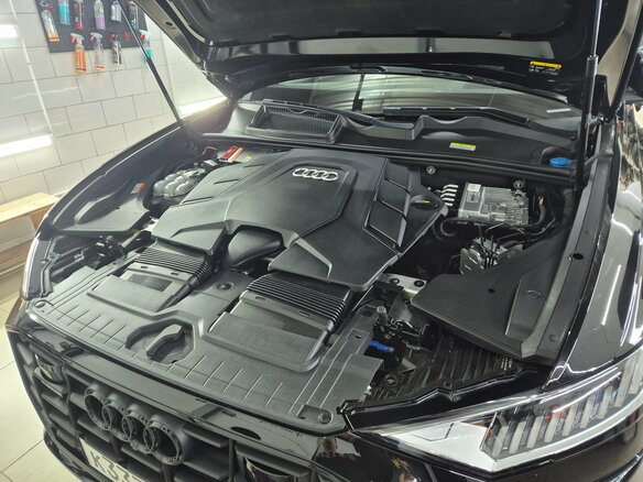 2022 Audi Q8 55 TFSI I (4M), чёрный, 8600000 рублей - вид 24