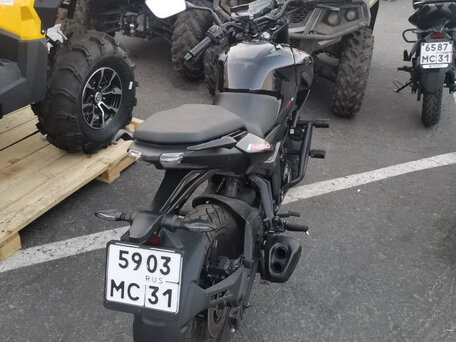2023 Bajaj Pulsar N250, чёрный, 265000 рублей, вид 2