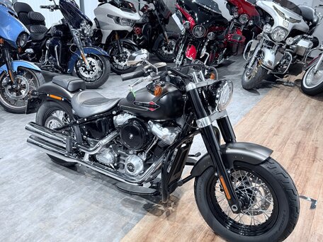 2021 Harley-Davidson Softail Slim, серый, 1899000 рублей, вид 1