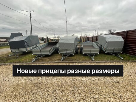 2026 МЗСА 817703, серебристый, 60000 рублей, вид 1