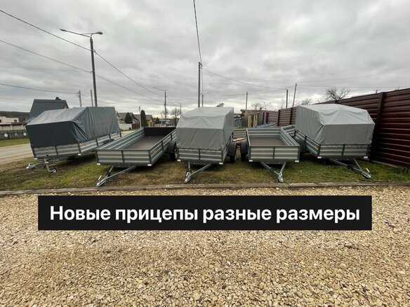 2026 МЗСА 817703, серебристый, 60000 рублей