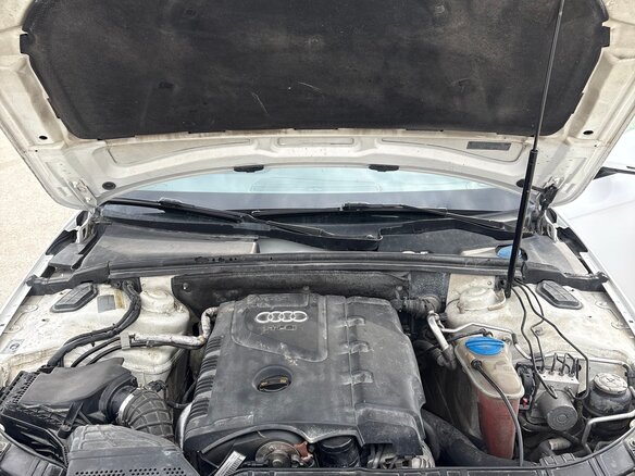 2008 Audi A4 IV (B8), белый, 780000 рублей - вид 18