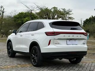 2022 Haval H6 III, белый, 1380000 рублей, вид 5