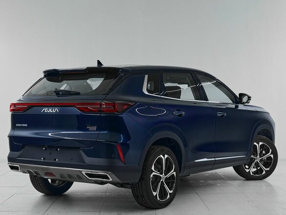 2025 Dongfeng Huge, синий, 2520000 рублей - вид 5