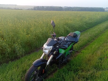 2014 Irbis GR 250, чёрный, 75000 рублей, вид 3