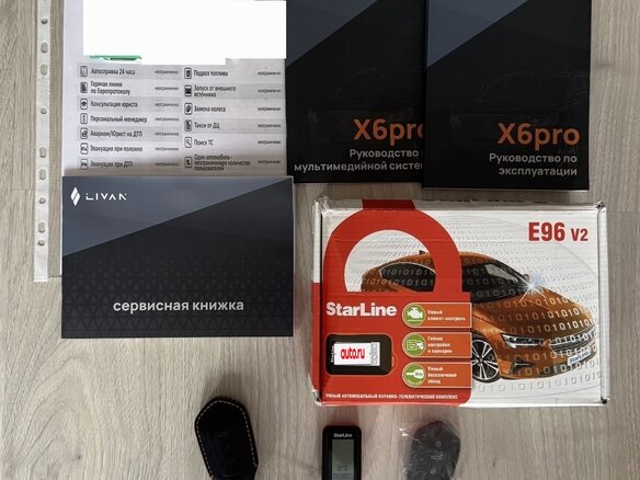 2023 Livan X6 Pro, серый, 1750000 рублей - вид 25