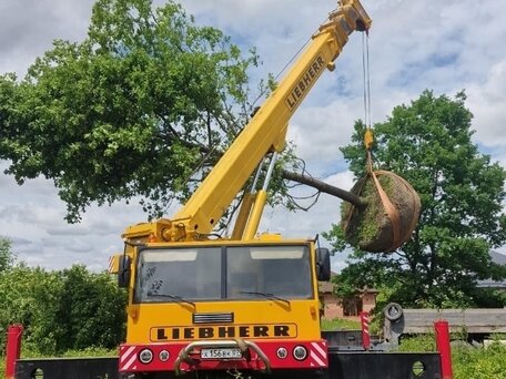1982 Liebherr LTM краны с телескопической стрелой, 5990000 рублей, вид 4