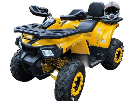 2026 Motoland Wild Track 200, жёлтый, 185200 рублей, вид 1