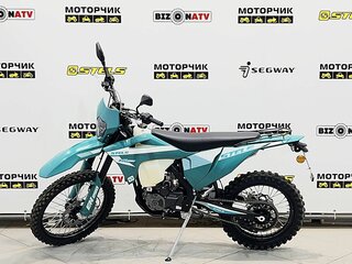 2026 Stels 250 Enduro, зелёный, 191000 рублей, вид 1