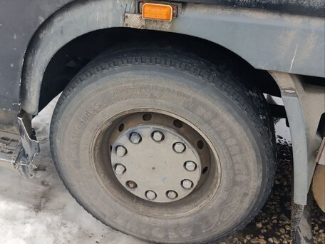 1999 DAF 95XF, чёрный, 800000 рублей, вид 2