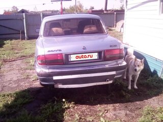 2002 ГАЗ 3110 «Волга», серый, 135000 рублей, вид 4