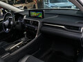 2021 Lexus RX 300 IV Рестайлинг, белый - вид 6