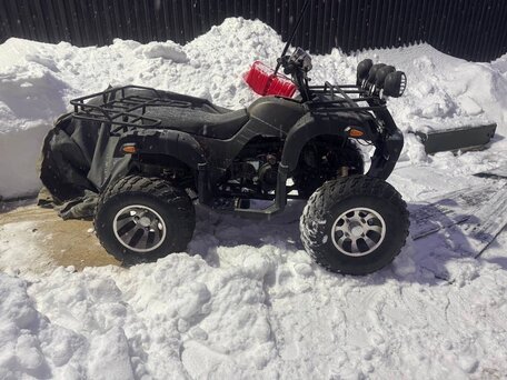 2021 Tiger Sport 250, чёрный, 160000 рублей, вид 3