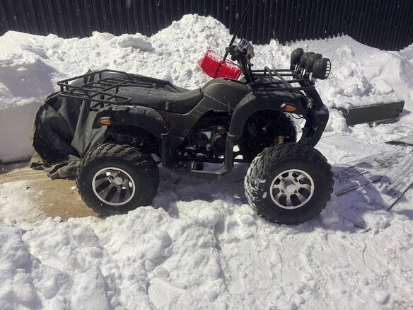 2021 Tiger Sport 250, чёрный, 160000 рублей - вид 2