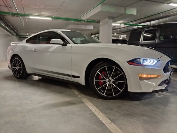 2022 Ford Mustang VI Рестайлинг, белый, 3795000 рублей - вид 9