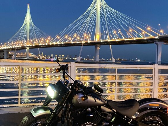 2017 Harley-Davidson Softail Slim, серый, 1800000 рублей - вид 8