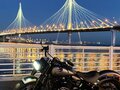 2017 Harley-Davidson Softail Slim, серый, 1800000 рублей - вид 8