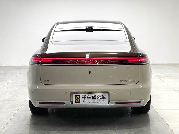 2025 Maextro S800, коричневый - вид 5