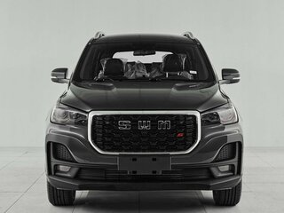 2024 SWM G05 Pro, серый, 1849000 рублей, вид 2