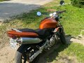 1999 Honda CB 600F Hornet, оранжевый, 370000 рублей - вид 1