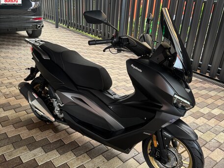 2025 Regulmoto Element 300, чёрный, 315000 рублей, вид 2
