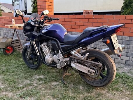 2005 Yamaha FZS1000 Fazer, синий, 350000 рублей, вид 1