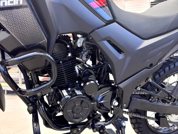 2025 Loncin MS250, чёрный, 181000 рублей - вид 5