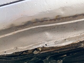 2005 Daewoo Nexia I, серебристый, 150000 рублей, вид 5
