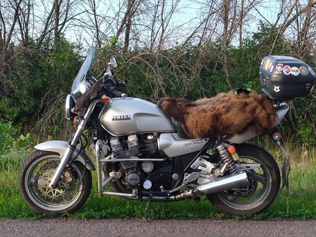1995 Yamaha XJR1200, серебристый, 350000 рублей, вид 2