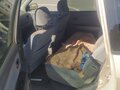 2002 Kia Carens I, белый, 300000 рублей - вид 7
