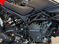2026 QJMotor SRT 900 SX, зелёный, 899000 рублей - вид 5