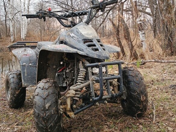 2018 Racer Alpha, серый, 60000 рублей