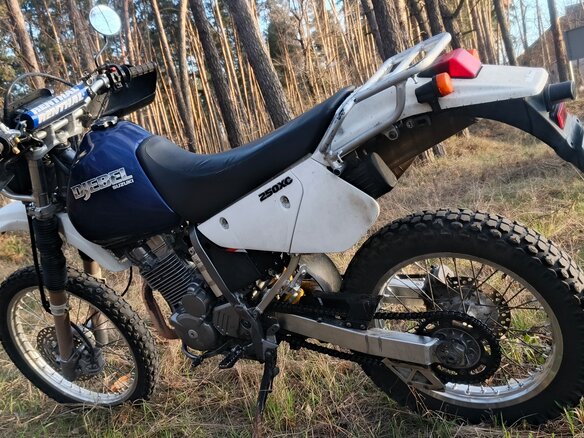 2004 Suzuki Djebel 250, синий, 300000 рублей - вид 6
