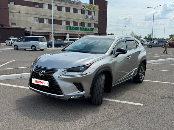 2019 Lexus NX 200 I Рестайлинг, серый, 3520000 рублей - вид 1