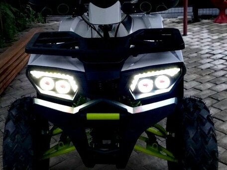 2020 Motoland Wild Track 200, белый, 175000 рублей, вид 3